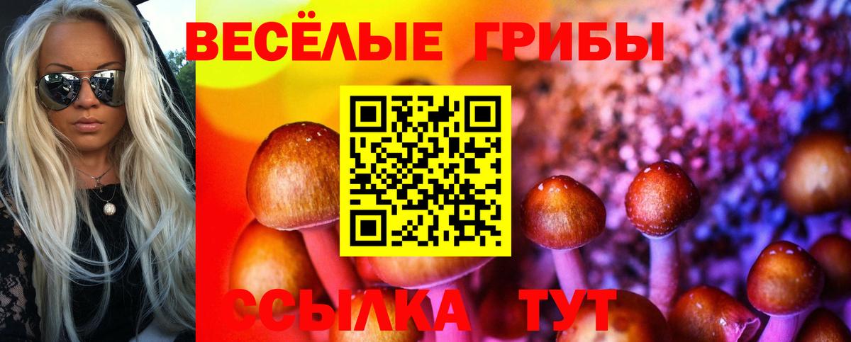 Псилоцибиновые грибы мухоморы Ярославль